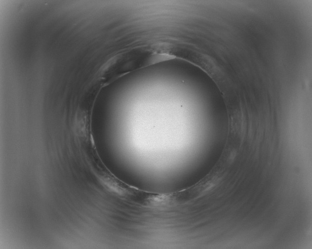 X0000062900092200601131411