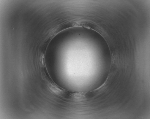 X0000062900094200601131411