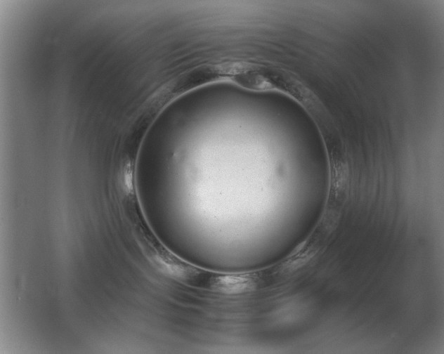 X0000062900095200601131411