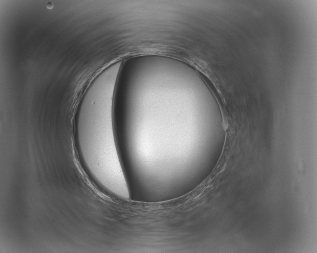 X0000062900097200601131411