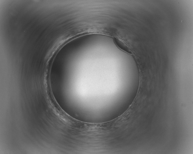 X0000062900098200601131411