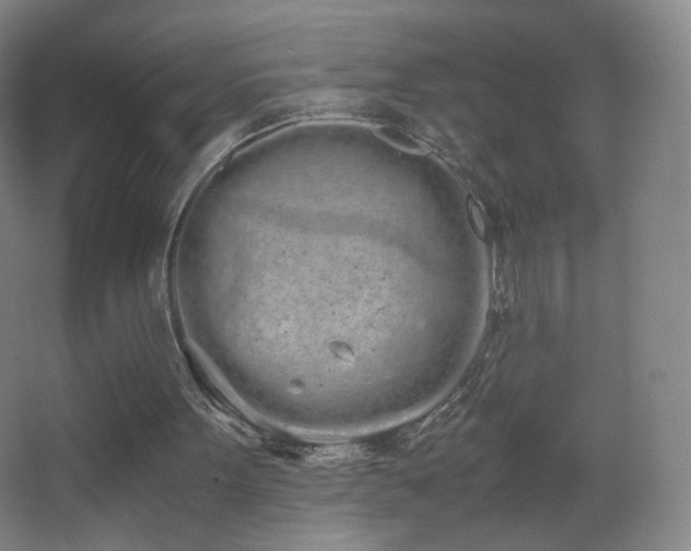 X0000062900099200601131411