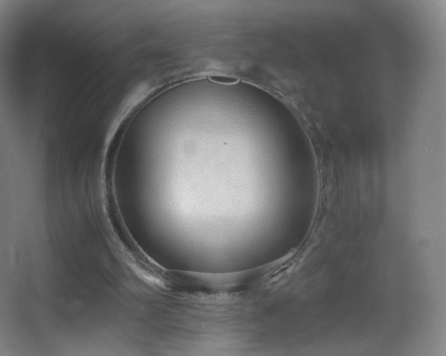 X0000062900102200601131410