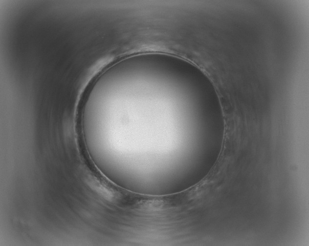 X0000062900104200601131410