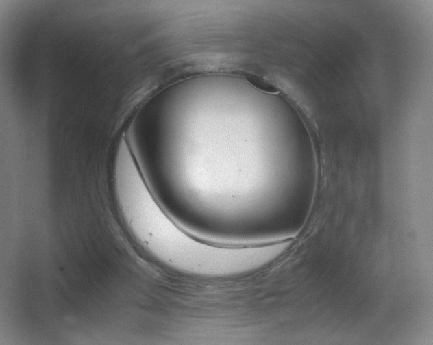 X0000062900105200601131410