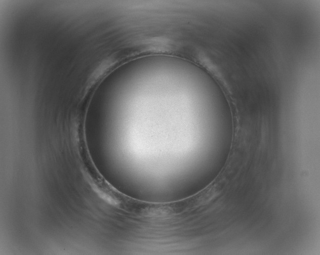 X0000062900106200601131410