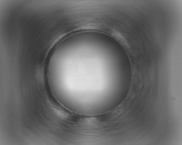 X0000062900108200601131410