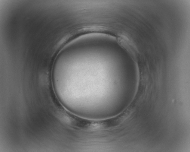 X0000062900111200601131410