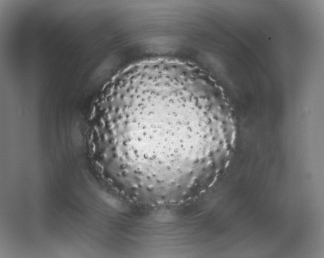 X0000062900114200601131410