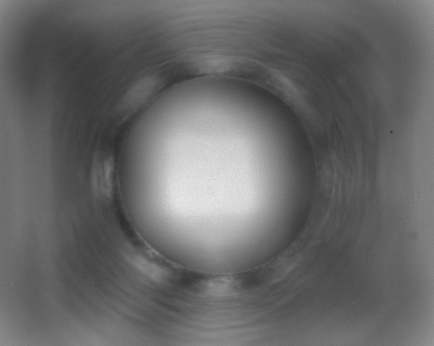 X0000062900118200601131410