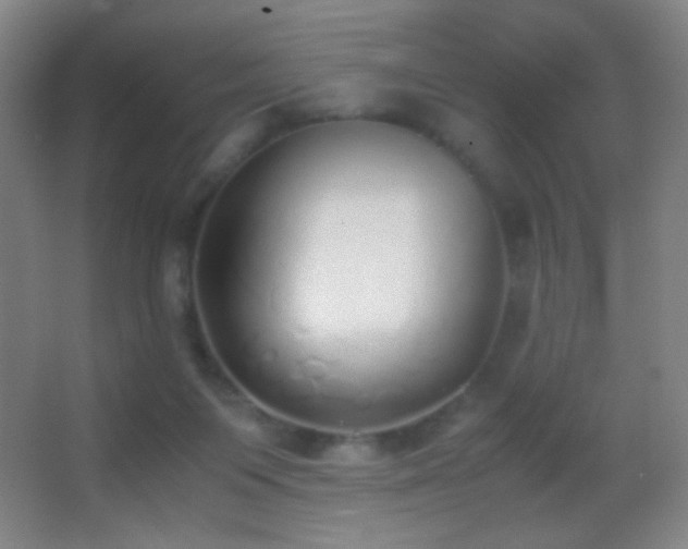 X0000062900119200601131410