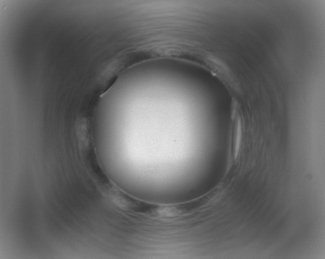 X0000062900121200601131410