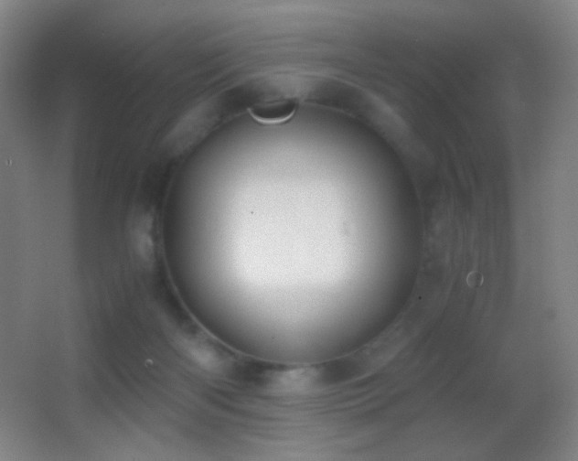 X0000062900122200601131410