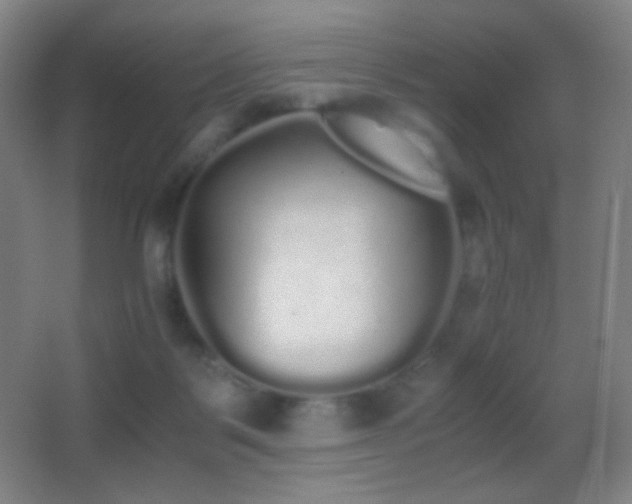 X0000062900123200601131410