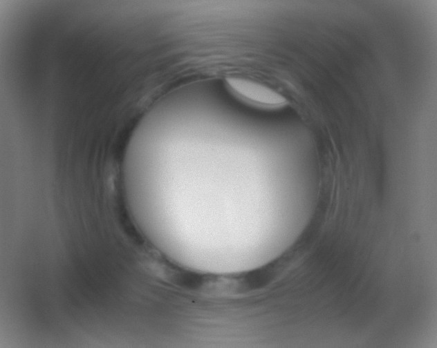 X0000062900125200601131410