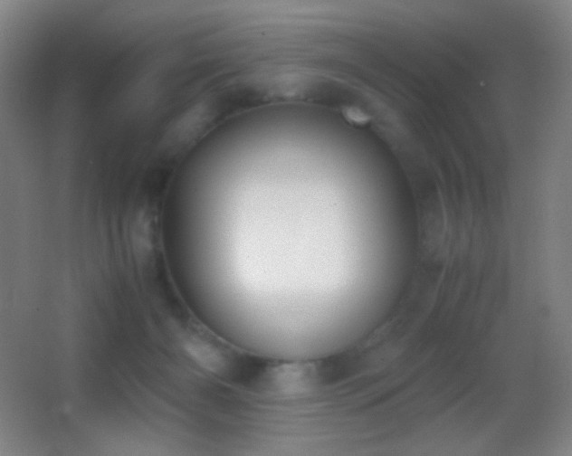 X0000062900126200601131410