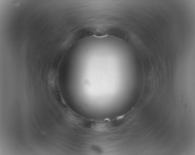 X0000062900129200601131410