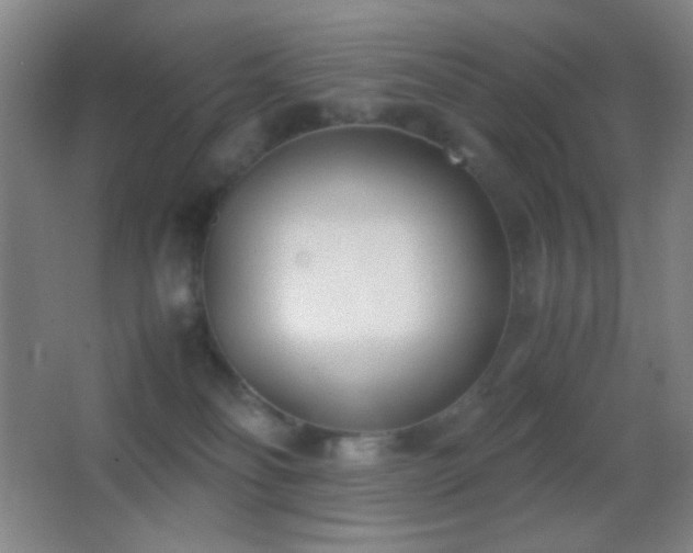 X0000062900134200601131410