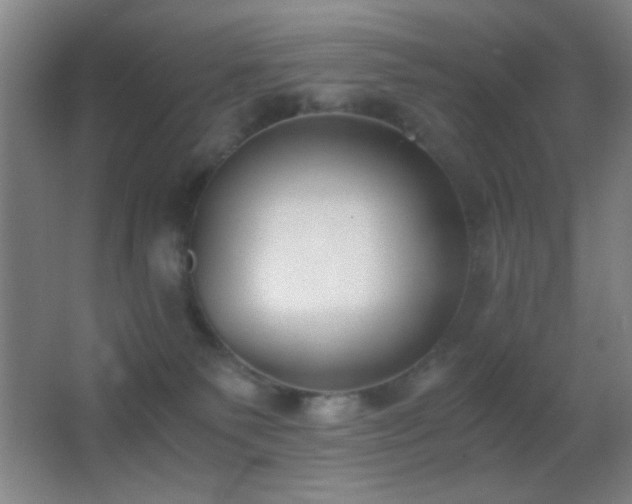 X0000062900135200601131410