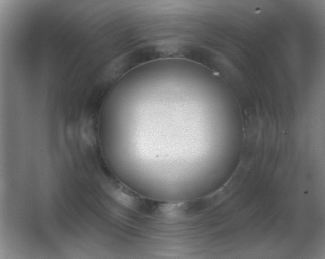 X0000062900136200601131410