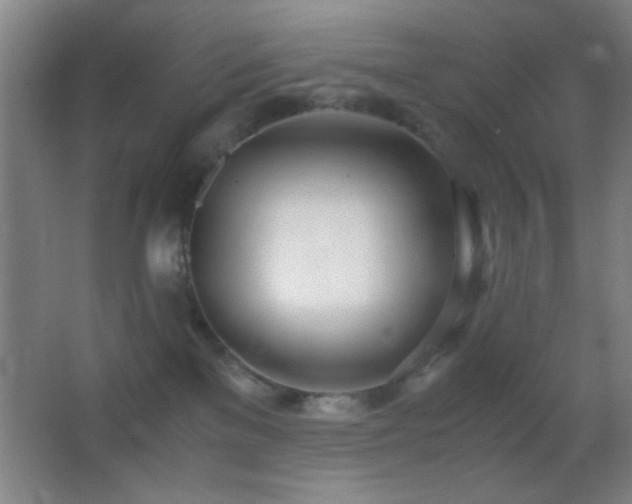 X0000062900137200601131410