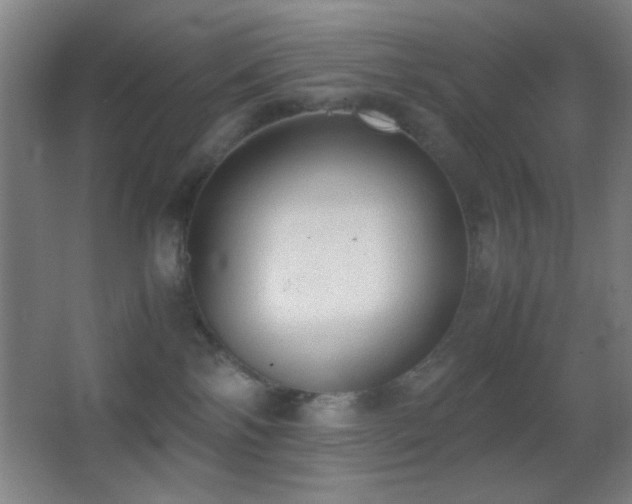 X0000062900138200601131410