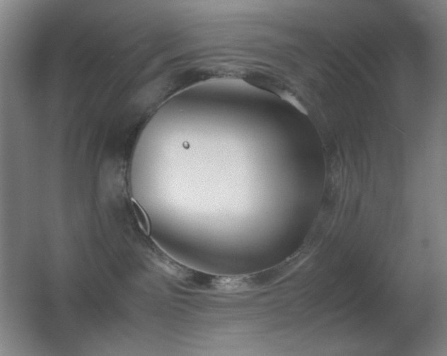 X0000062900141200601131410