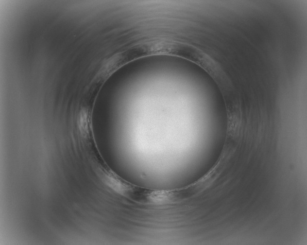 X0000062900142200601131410