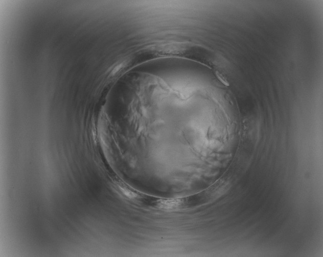 X0000062900143200601131410