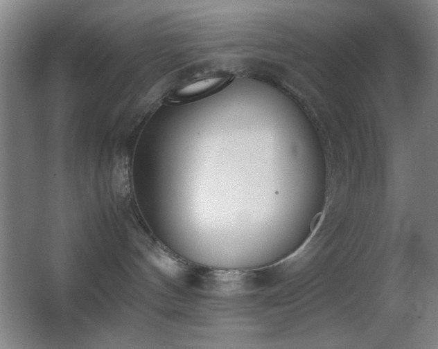 X0000062900144200601131410