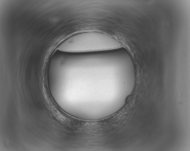 X0000062900145200601131409