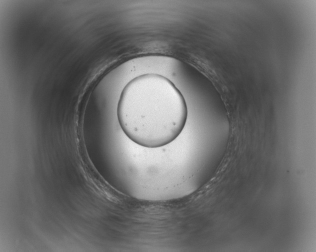 X0000062900146200601131409