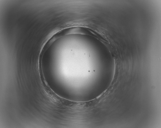 X0000062900148200601131409