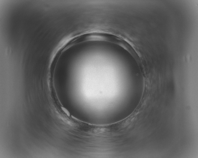 X0000062900152200601131409