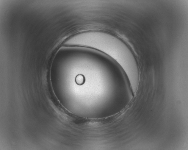 X0000062900154200601131409