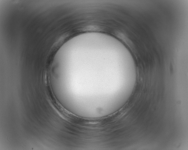 X0000062900157200601131409