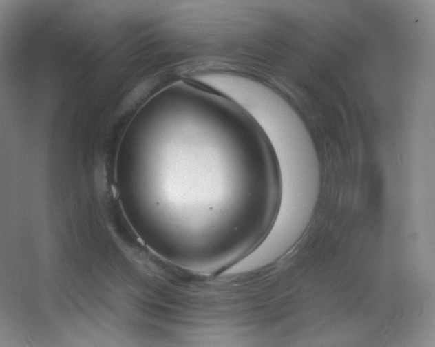 X0000062900158200601131409