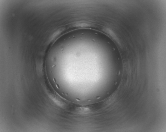 X0000062900159200601131409