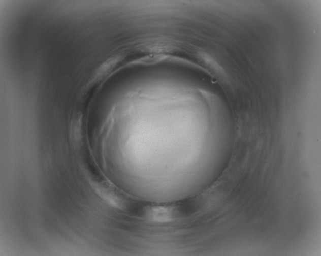 X0000062900163200601131409