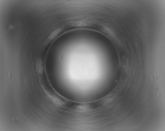 X0000062900164200601131409