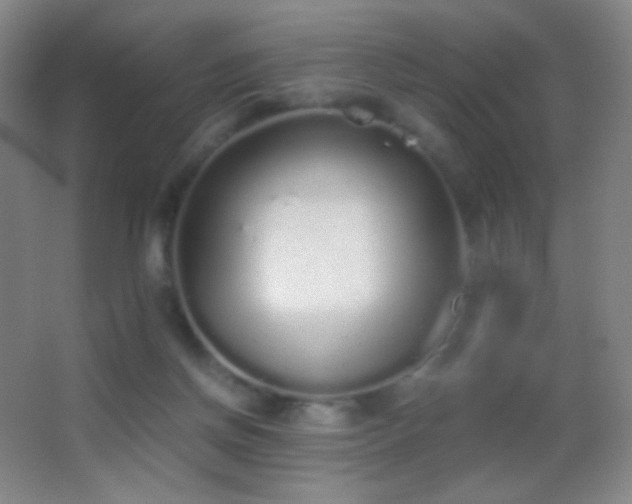 X0000062900166200601131409