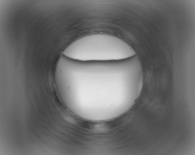 X0000062900173200601131409