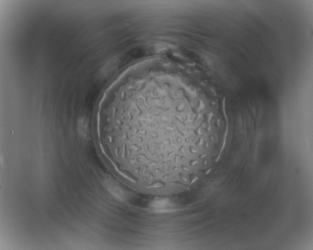 X0000062900177200601131409