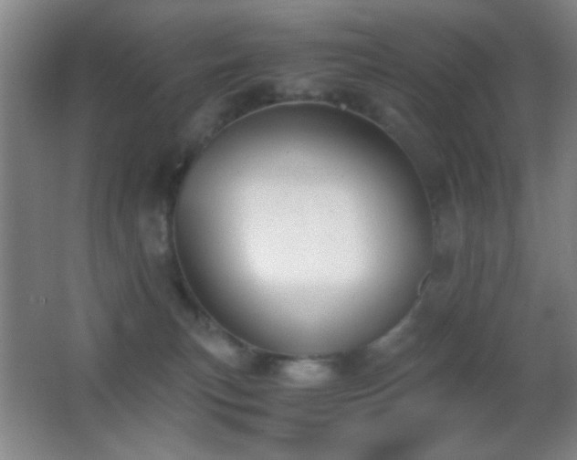 X0000062900183200601131410