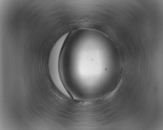 X0000062900186200601131410