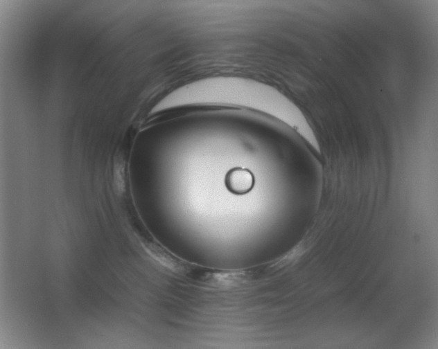 X0000062900188200601131410