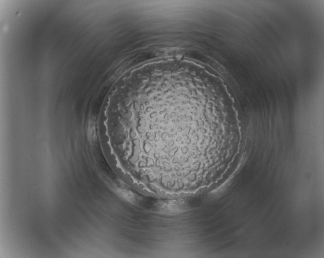 X0000062900191200601131410
