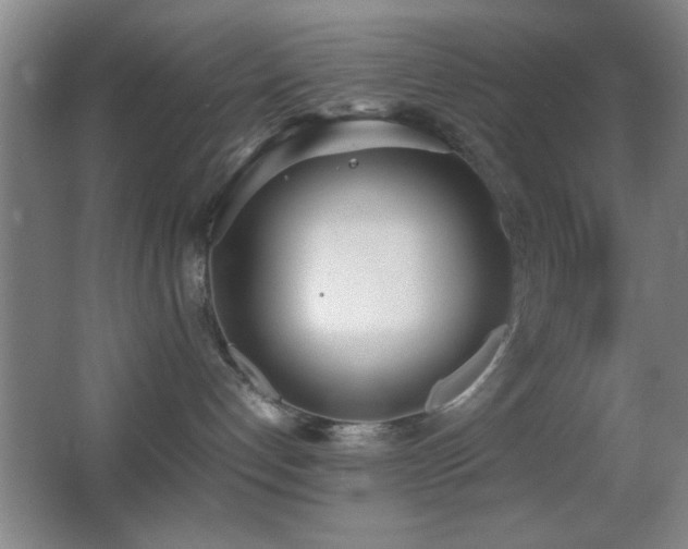 X0000062900192200601131410