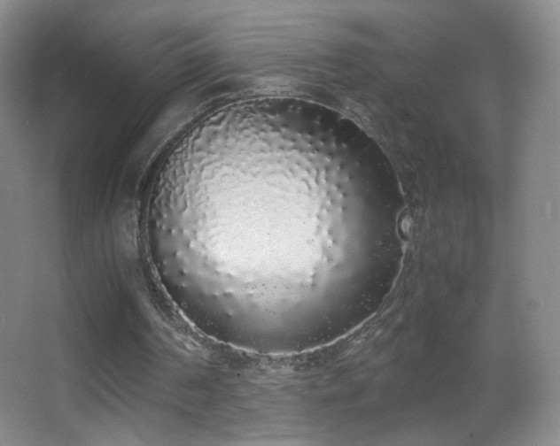 X0000062900194200601131409