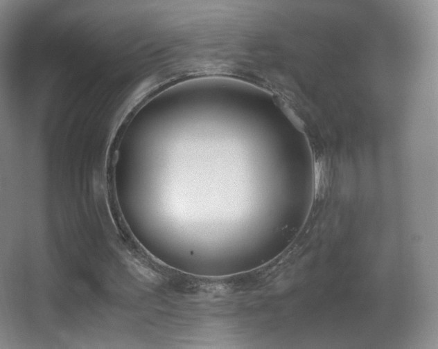 X0000062900195200601131409